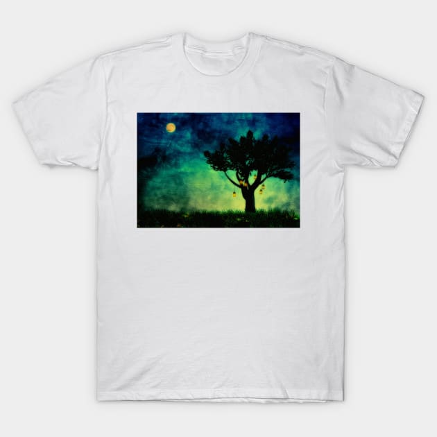 Lanterns Glow At Night T-Shirt by JimDeFazioPhotography